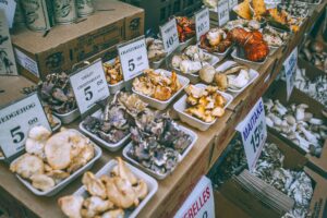 assorted mushrooms on counter in market