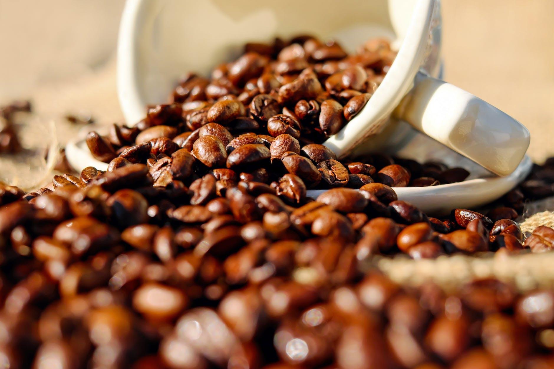 shallow focus of coffee beans on white ceramic cup