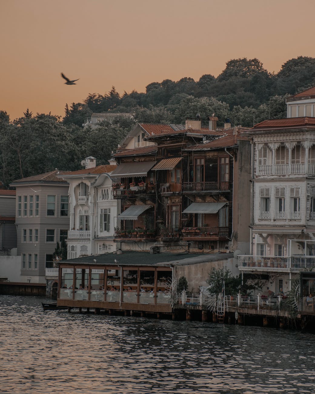 houses on river coast