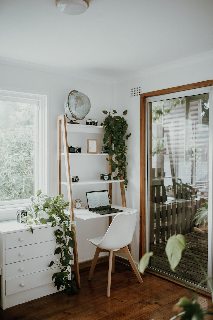 photograph of a room with vines