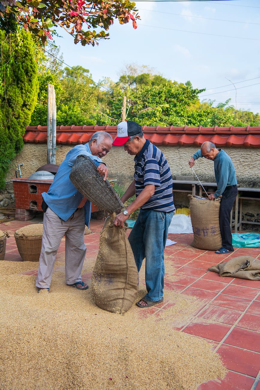 men packing grain into jute sack bags