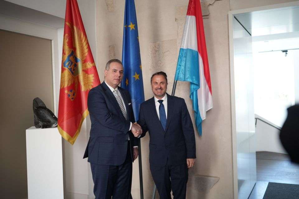 اجتماع بين نائبي رئيس الوزراء كزافييه بيتيل وفيليب إيفانوفيتش