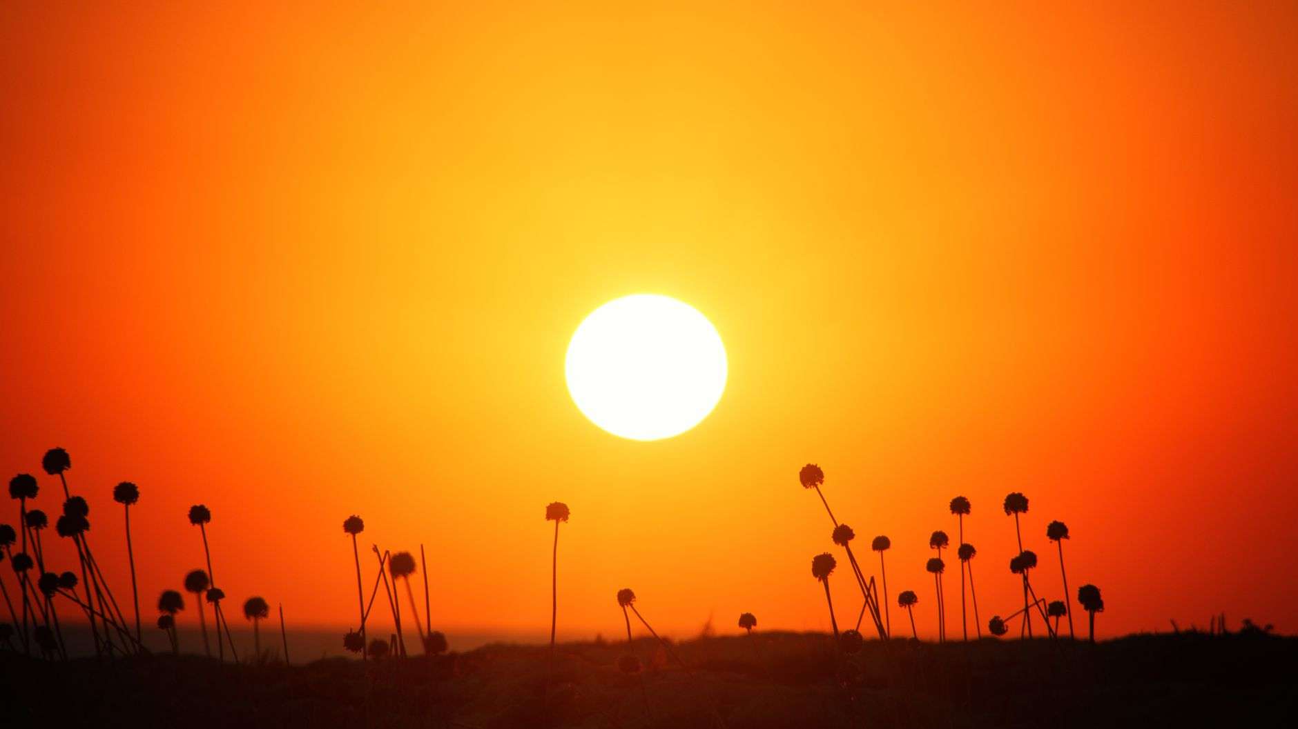 فوائد صحية لغروب الشمس