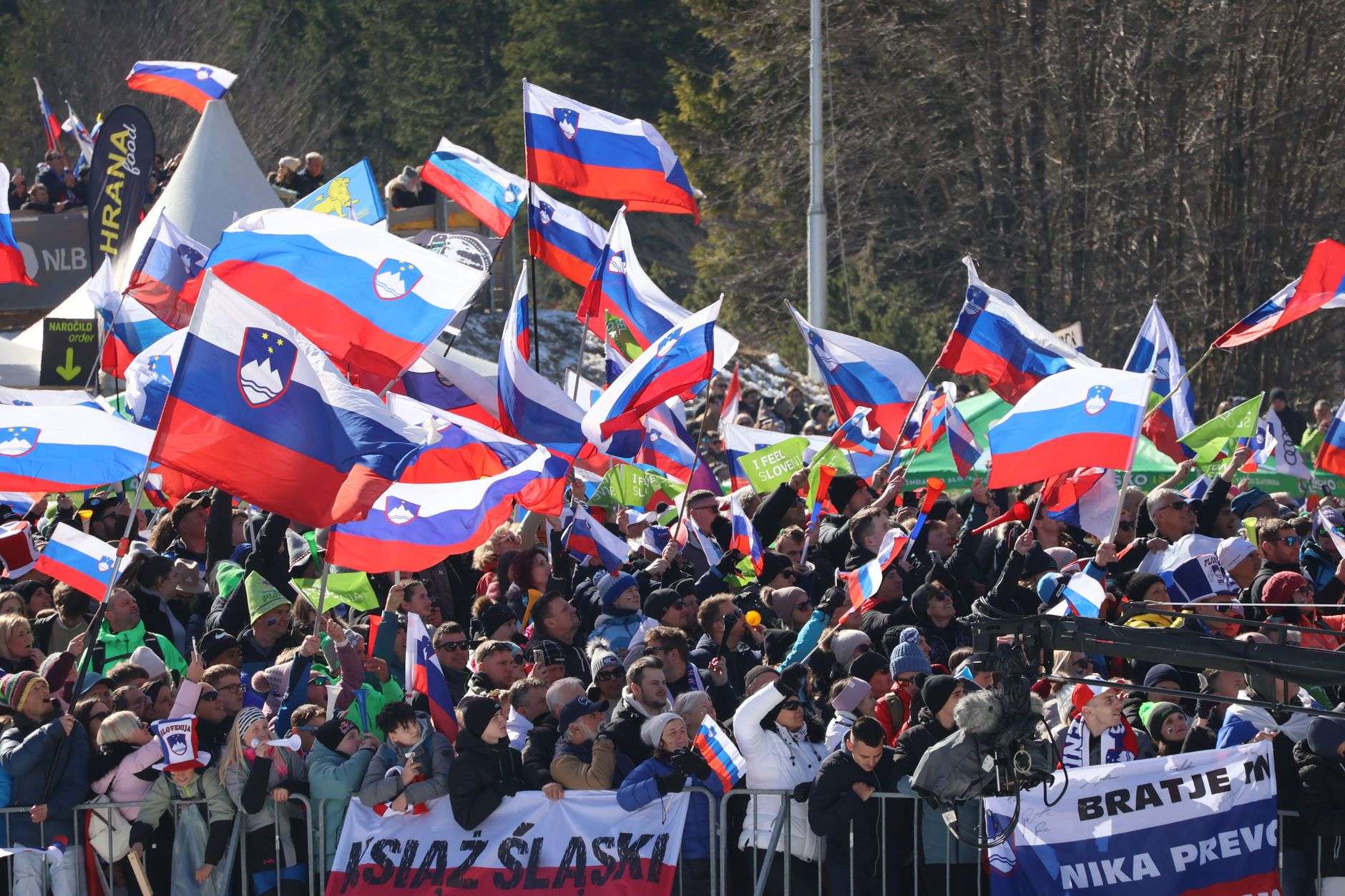 large crowd celebrating with slovenian flags outdoors