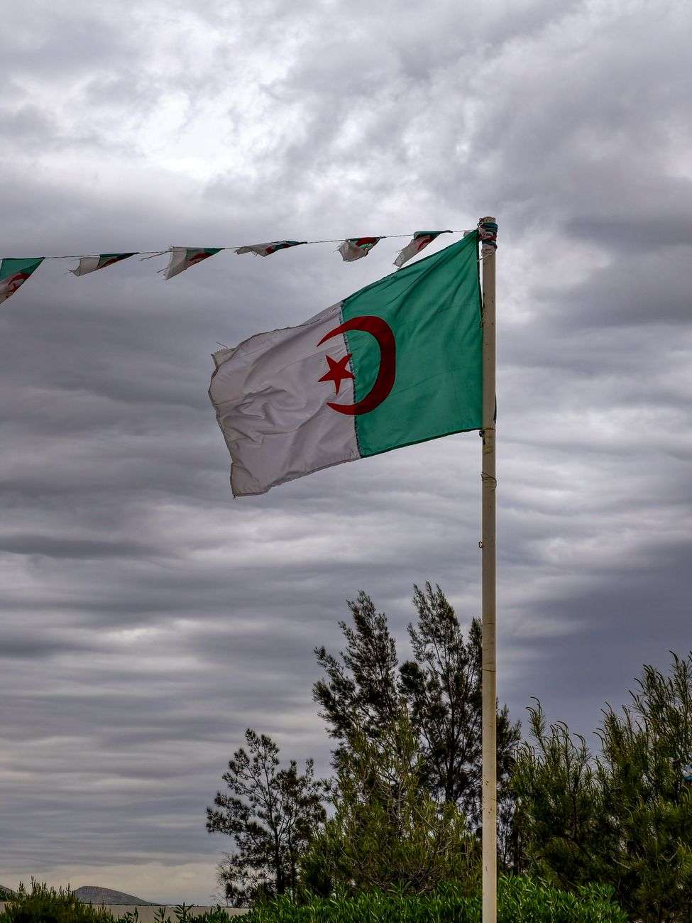 النتائج النهائية للتشريعيات في الجزائر