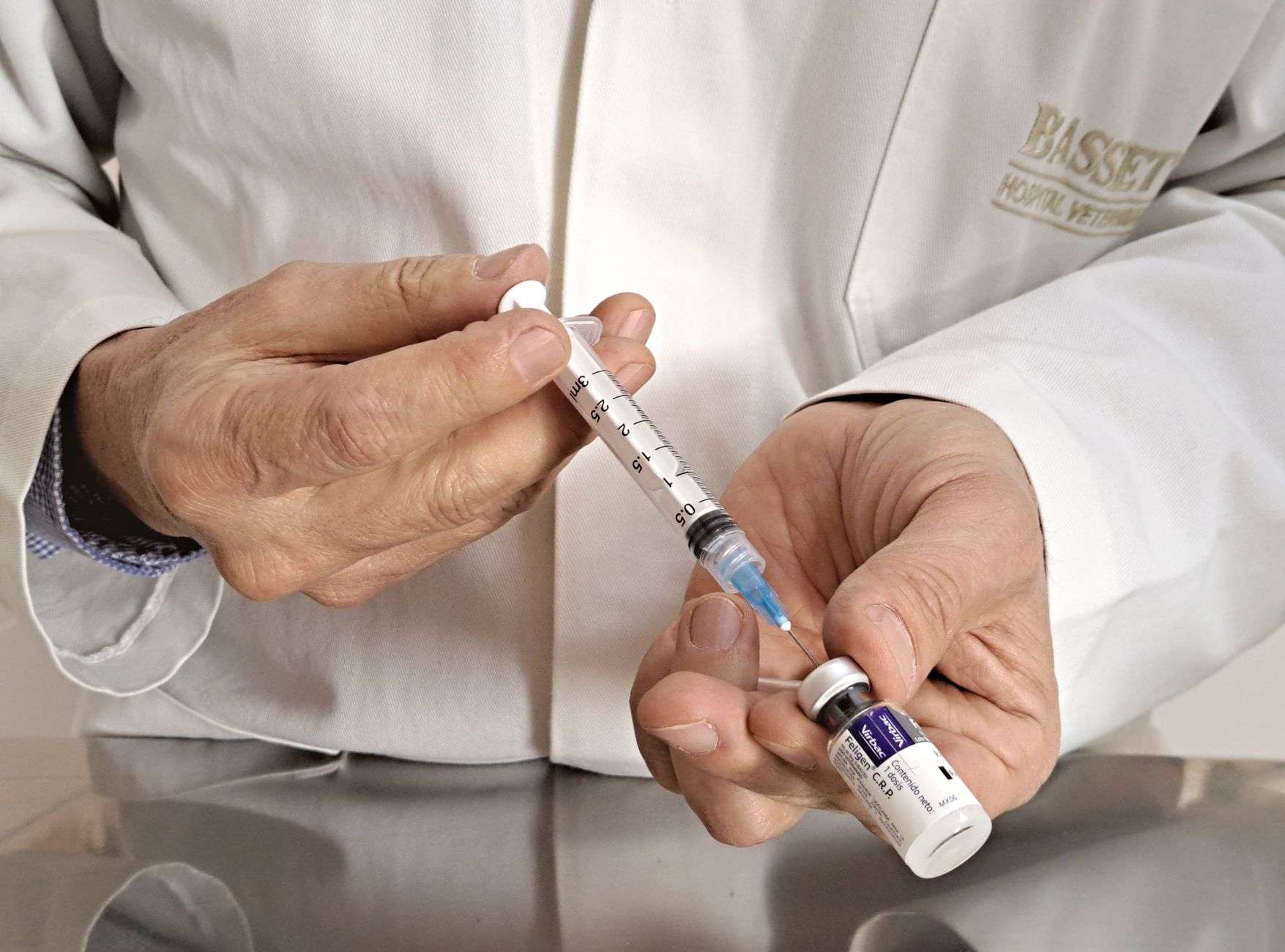 veterinarian preparing vaccine injection for animal care