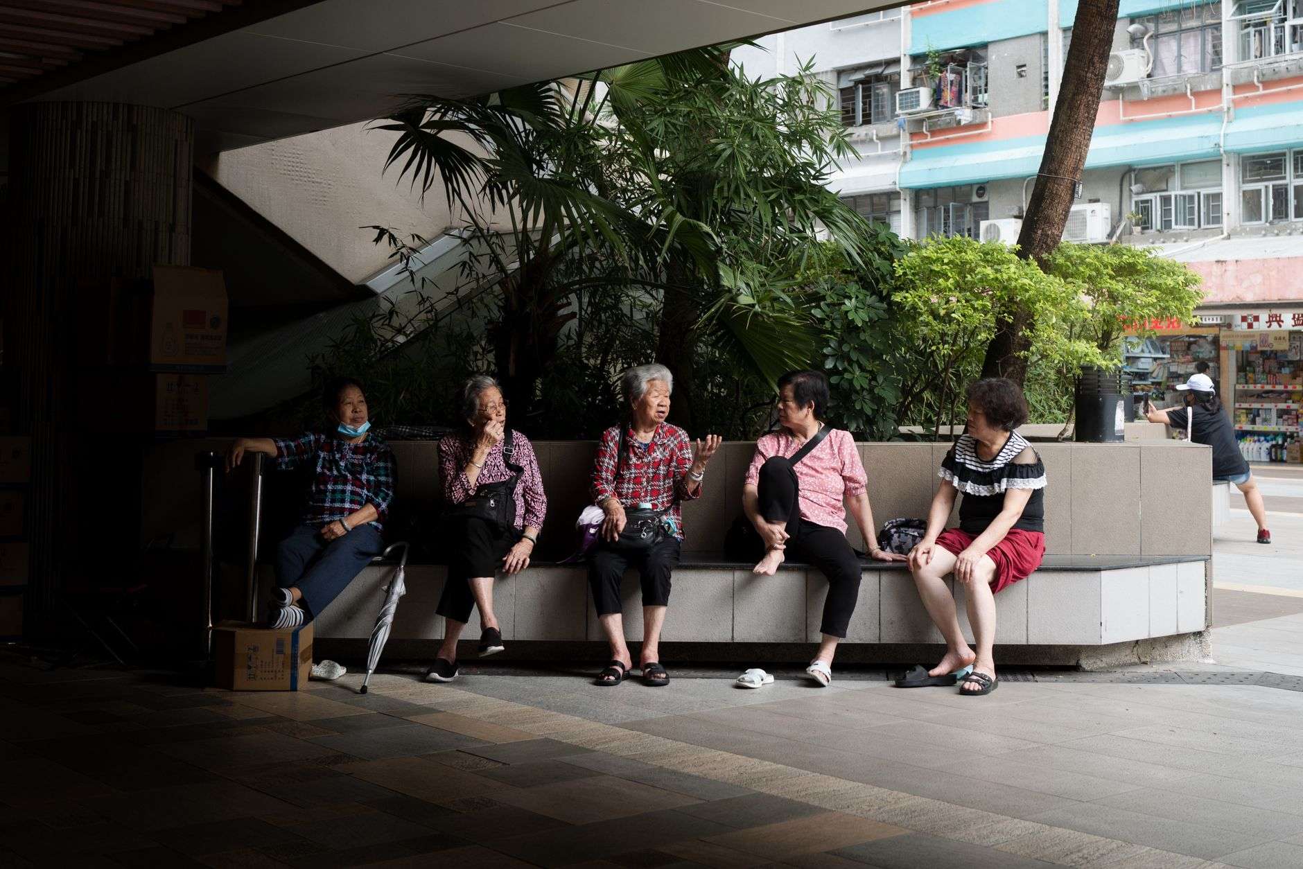 people sitting on a bench