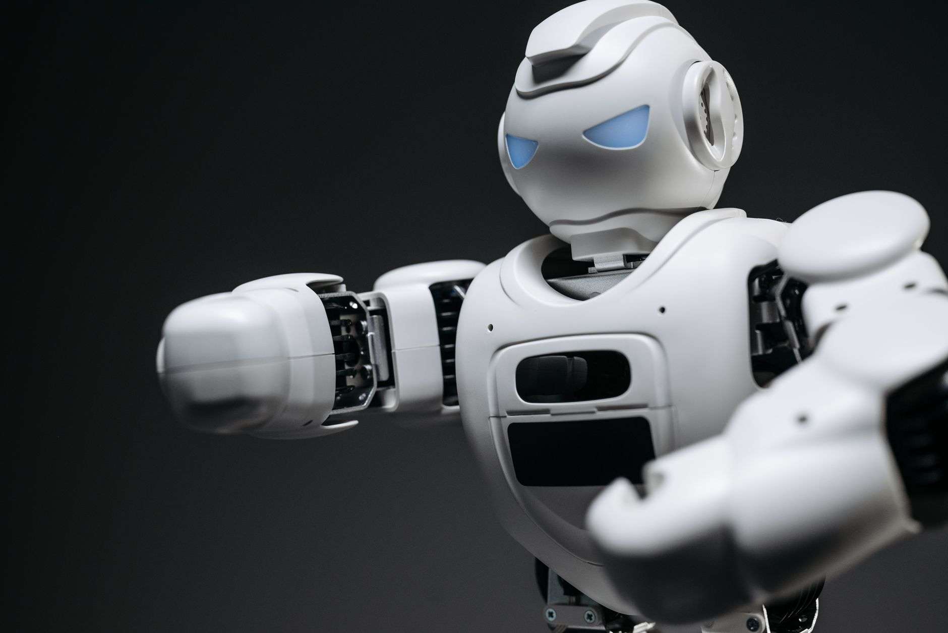 close up shot of a toy
